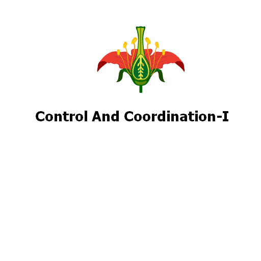 Control And Coordination-I